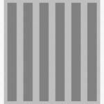 Prison Break