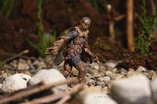 Cenas e fotografias famosas representadas por personagens do Star Wars • 6265511232 d12efbfd74