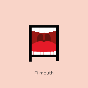 sistema chineasy completo