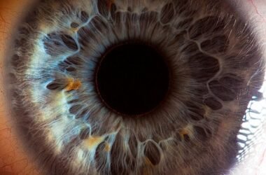 Seus belos olhos, por Suren Manvelyan • Suren Manvelyan 19