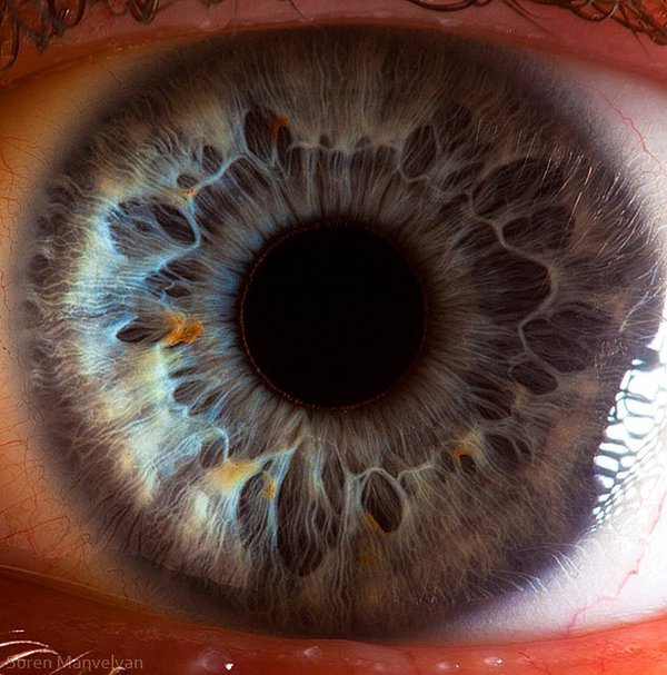 Seus belos olhos, por Suren Manvelyan • Suren Manvelyan 19