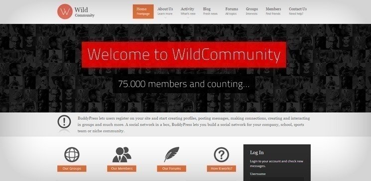 wild-community