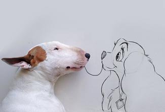 Um publicitário, um Bull Terrier e criatividade de sobra • Rafael Mantesso Bull Terrier thumb