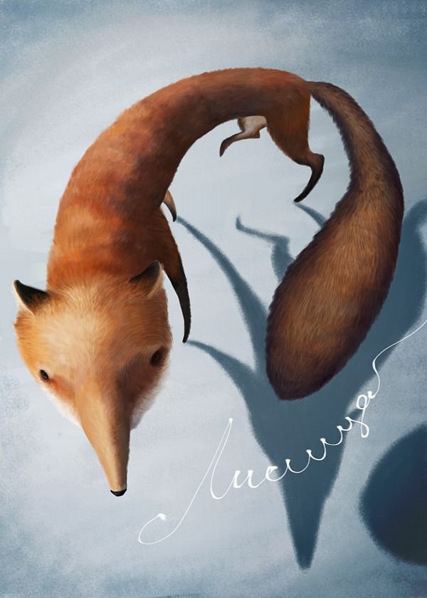 animais-ilustrados-Varya-Kolesnikova (2)