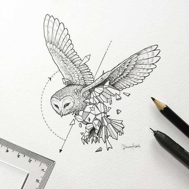 animais-e-geometria-nas-ilustracoes-de-kerby-rosanes (5)