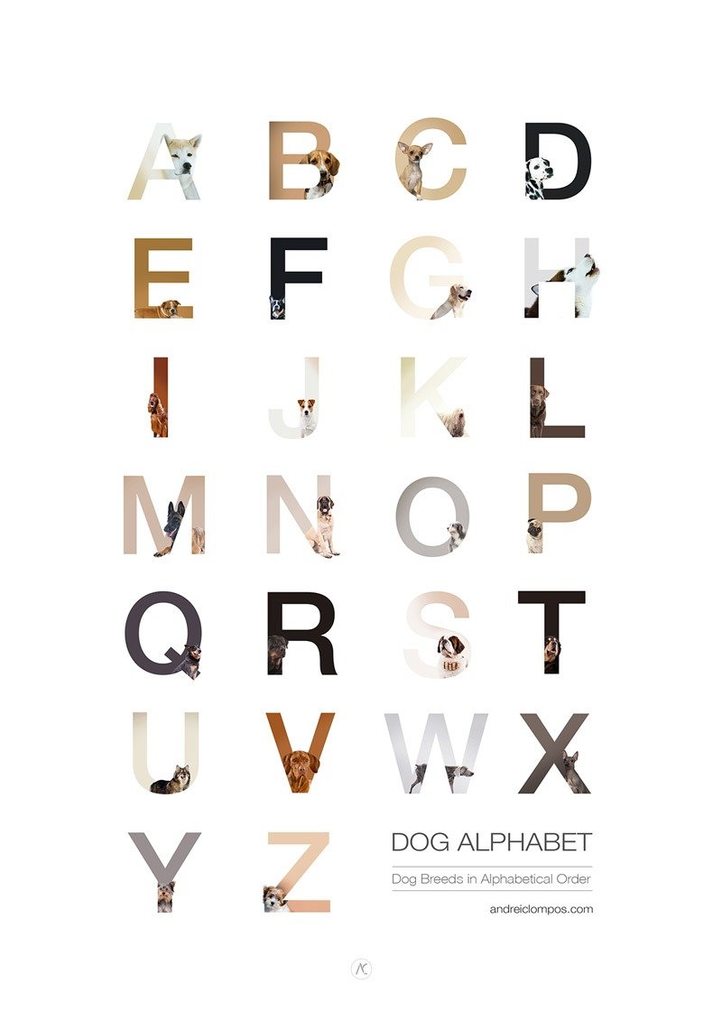 alfabeto-canino-de-andrei-clompos