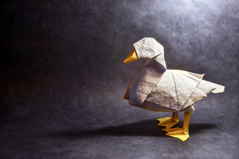 incriveis-origamis-de-animais-do-artista-gonzalo-calvo-13