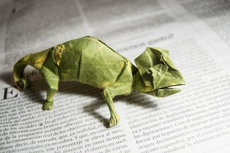 incriveis-origamis-de-animais-do-artista-gonzalo-calvo-16