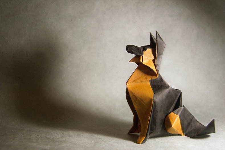 incriveis-origamis-de-animais-do-artista-gonzalo-calvo-17