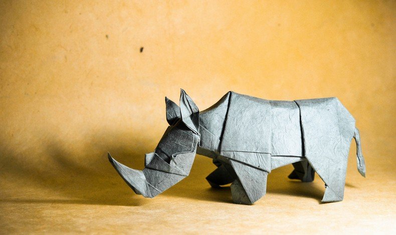 incriveis-origamis-de-animais-do-artista-gonzalo-calvo-4