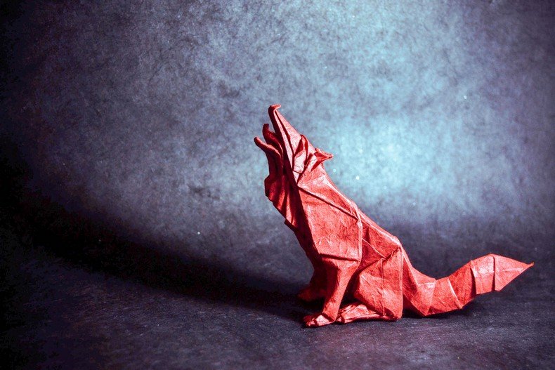 incriveis-origamis-de-animais-do-artista-gonzalo-calvo-7