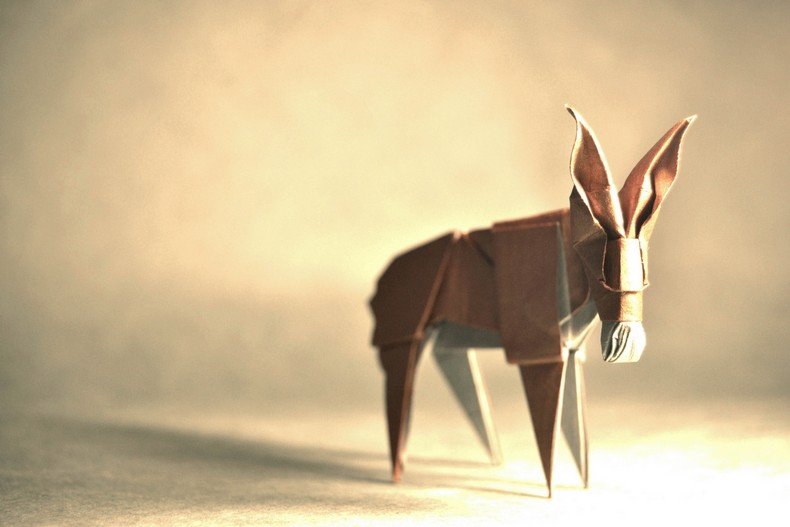 incriveis-origamis-de-animais-do-artista-gonzalo-calvo-8