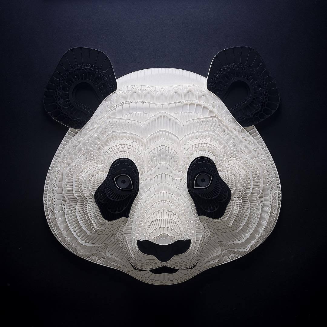 A bela arte com recortes de papel, por Patrick Cabral • bela arte com recortes de papel por patrick cabral 5 1