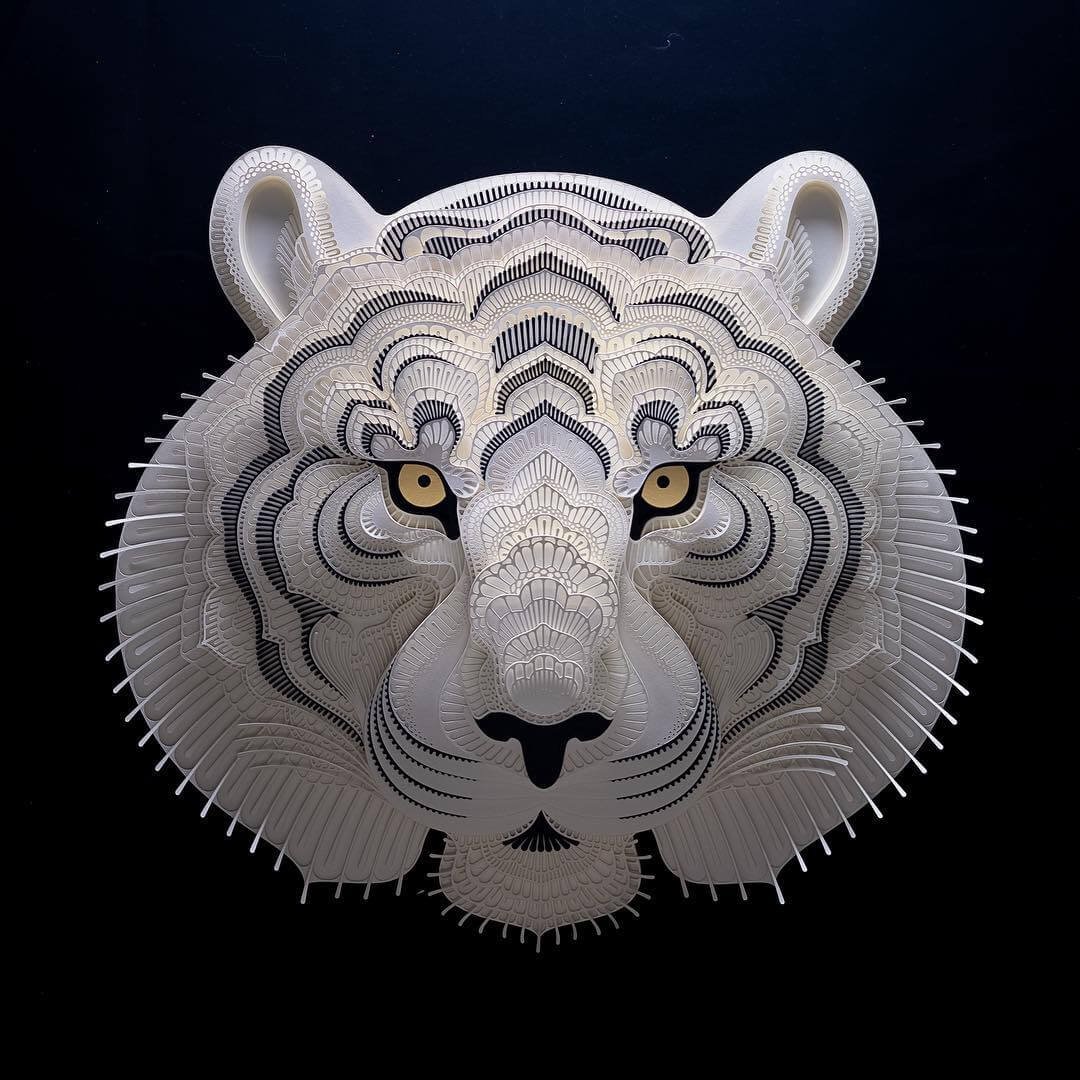 A bela arte com recortes de papel, por Patrick Cabral • bela arte com recortes de papel por patrick cabral 9