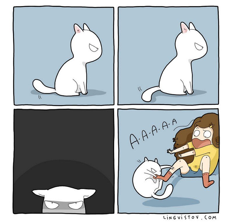 divertidas-ilustracoes-mostram-vida-de-quem-tem-um-gato-de-estimacao-5