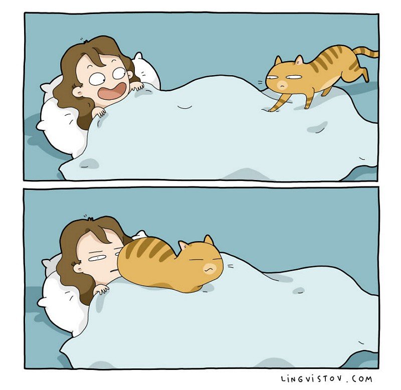 divertidas-ilustracoes-mostram-vida-de-quem-tem-um-gato-de-estimacao-7