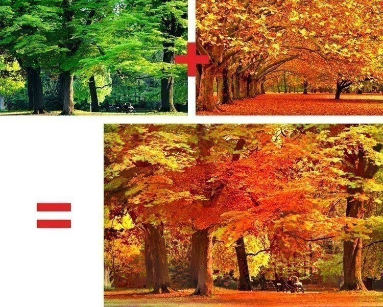 A Adobe criou um algoritmo que copia o estilo de uma imagem para outra de forma impressionante • adobe algoritmo aplicacao2