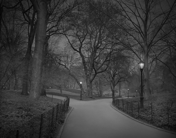 A madrugada do Central Park, por um fotógrafo com insônia • central park madrugada fotografo insonia 10