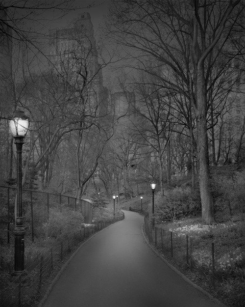 A madrugada do Central Park, por um fotógrafo com insônia • central park madrugada fotografo insonia 11