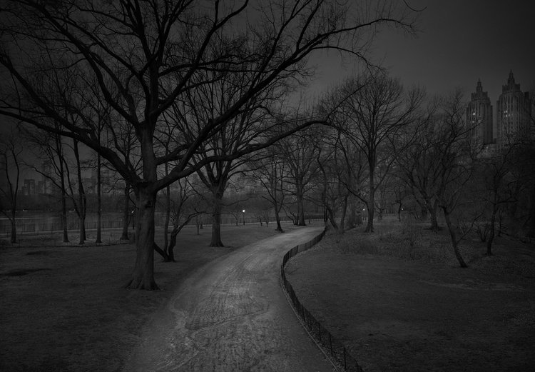 A madrugada do Central Park, por um fotógrafo com insônia • central park madrugada fotografo insonia 14