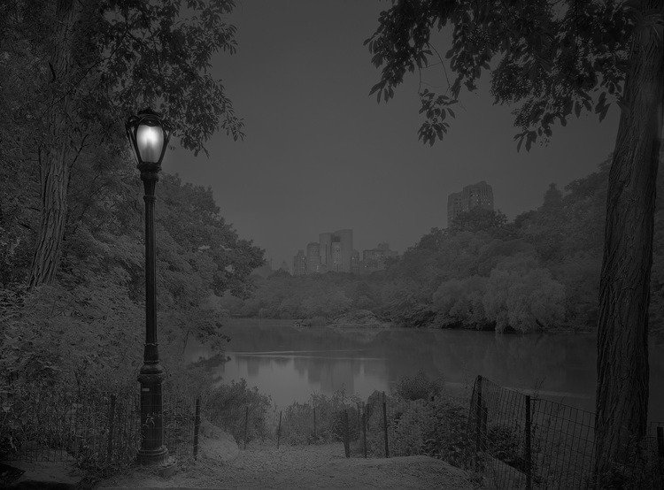 A madrugada do Central Park, por um fotógrafo com insônia • central park madrugada fotografo insonia 21