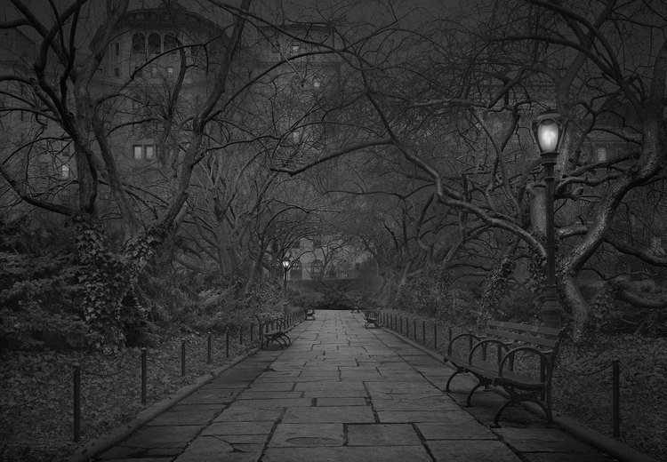 A madrugada do Central Park, por um fotógrafo com insônia • central park madrugada fotografo insonia 22