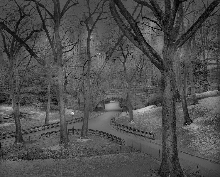 A madrugada do Central Park, por um fotógrafo com insônia • central park madrugada fotografo insonia 23