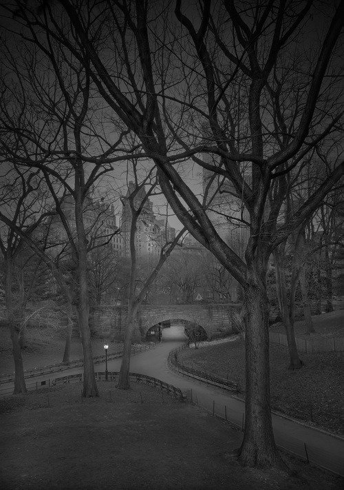 A madrugada do Central Park, por um fotógrafo com insônia • central park madrugada fotografo insonia 3