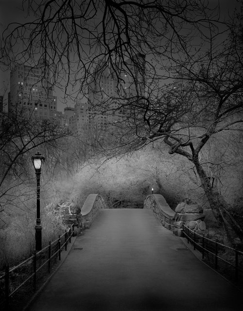 A madrugada do Central Park, por um fotógrafo com insônia • central park madrugada fotografo insonia 8