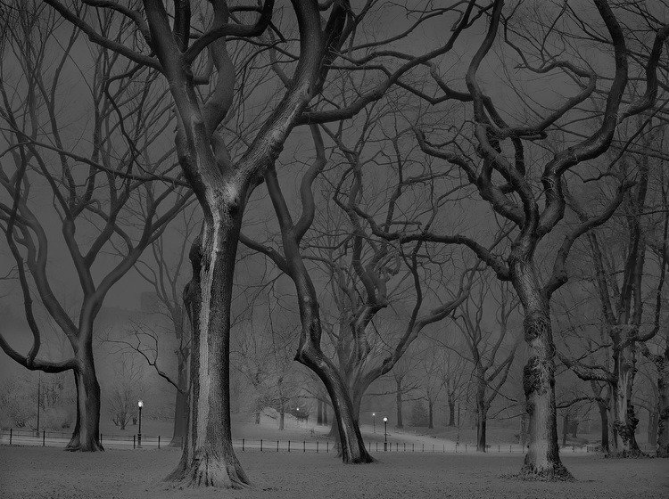 A madrugada do Central Park, por um fotógrafo com insônia • central park madrugada fotografo insonia 9