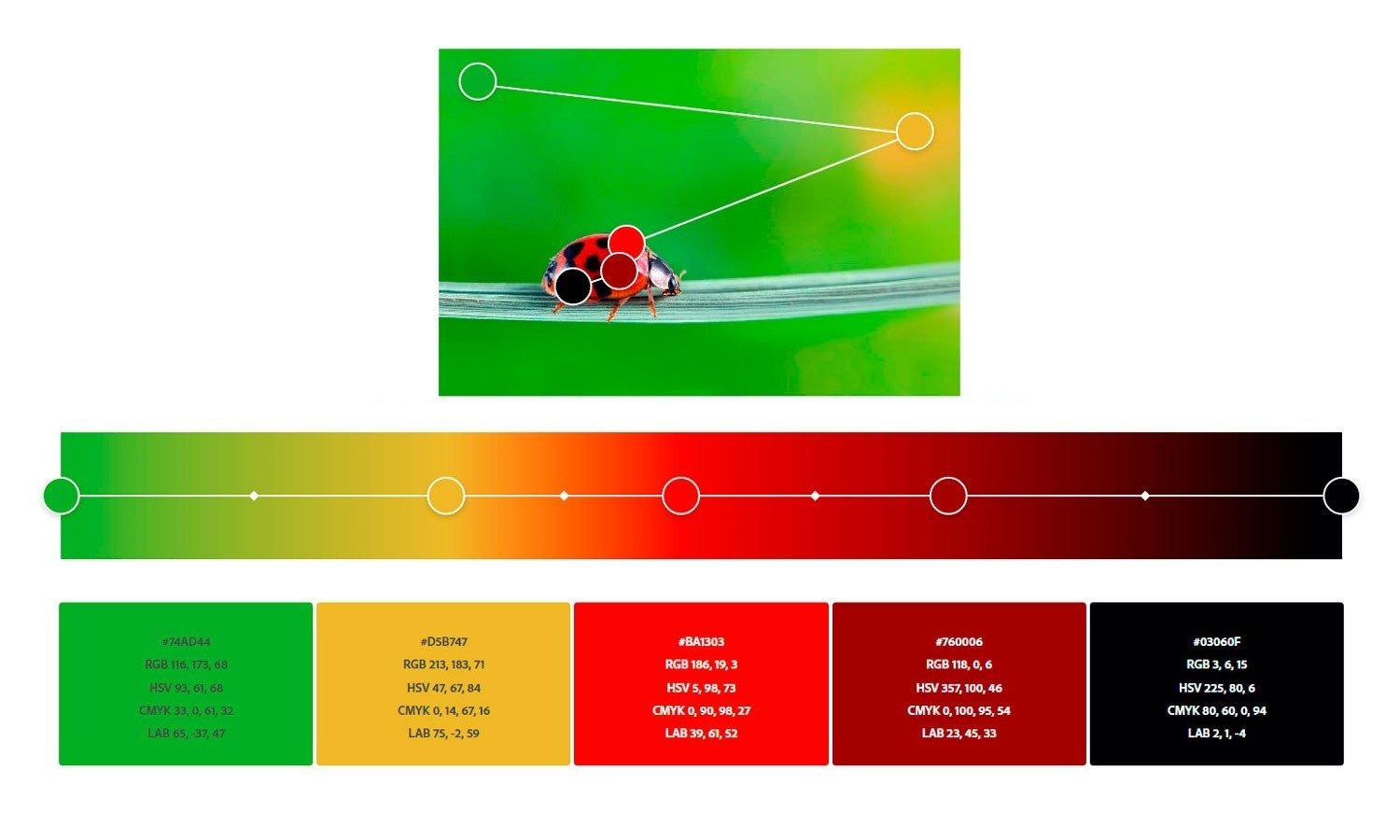 Como criar paletas de cores usando o Adobe Color?