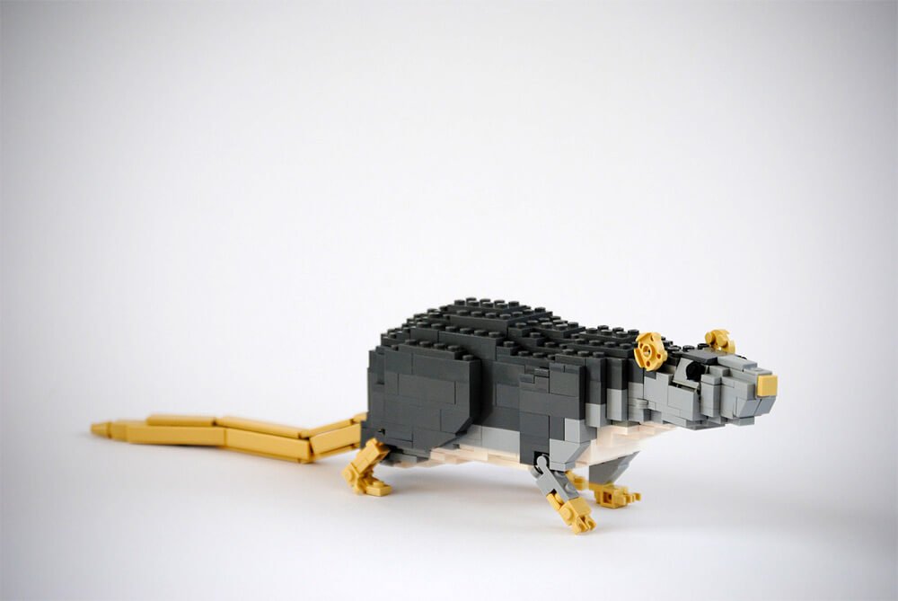 Ele cria belos animais com peças de LEGO • ele cria belos animais com lego 12
