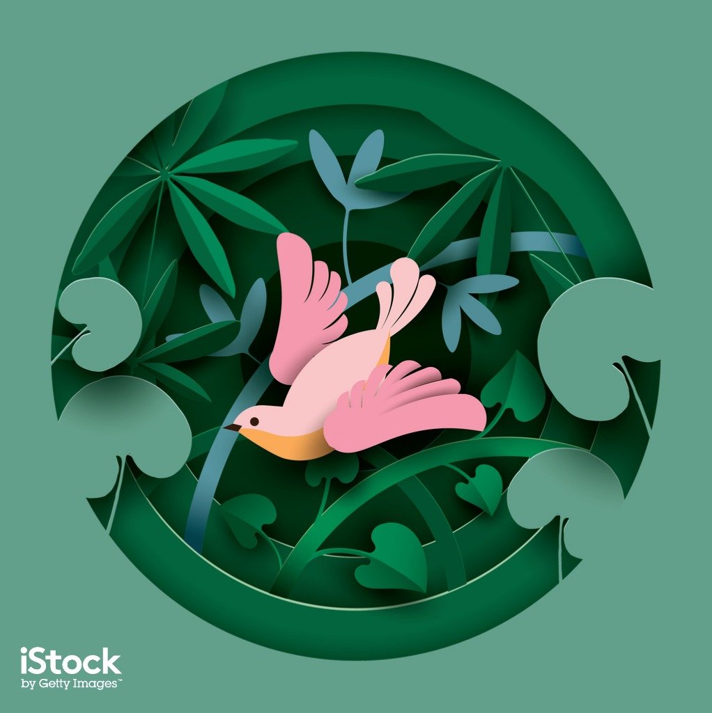 5 estilos de ilustrações para utilizar em seus projetos • estilos de ilustracoes para utilizar projetos papercut