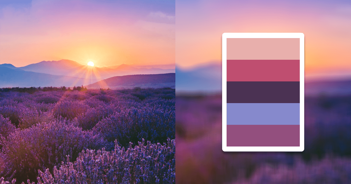 Fotos De Cor Imagem Para Cor Melhores Imagens Depositphotos