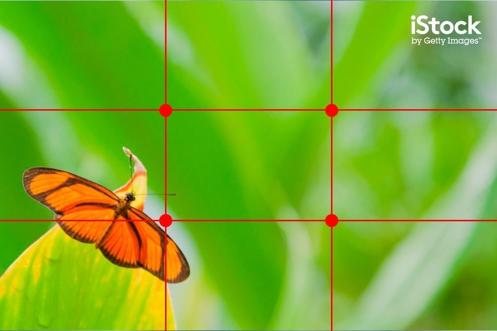 Regra dos terços: como ela pode ajudar a sua composição na fotografia • regra dos tercos como utilizar
